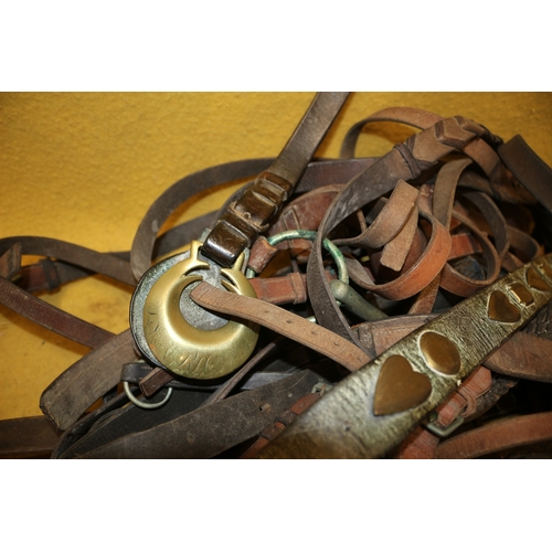 46 - Large Selection of Vintage Leather Horse Tackle including Vintage Brasses