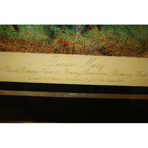 210 - Reverse Engraving on Glass of Queen Mary Horse - 35 x 32cm