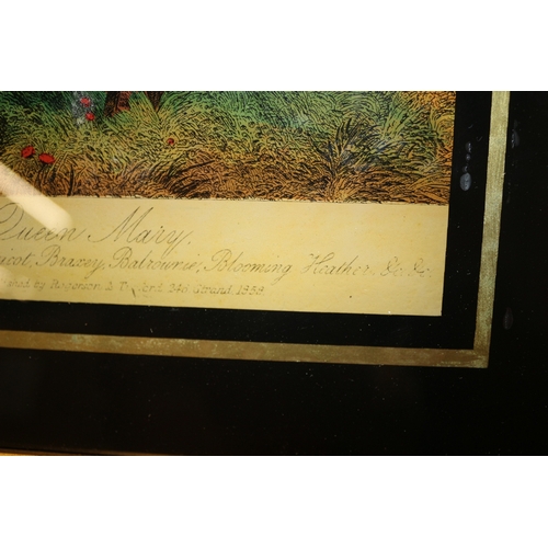 210 - Reverse Engraving on Glass of Queen Mary Horse - 35 x 32cm