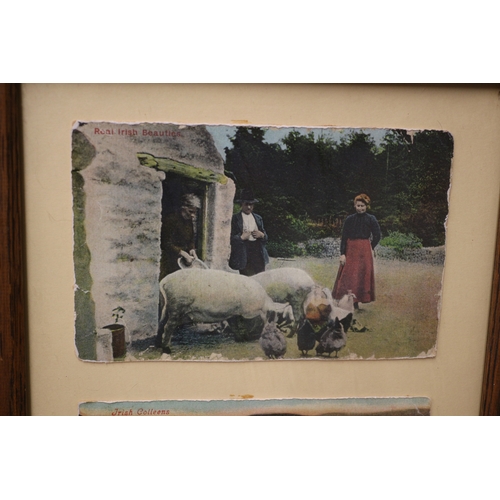 452 - 3 x Vintage Irish Life Scenes Postcards in a Frame - 50 x 29cm