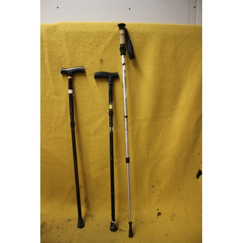 489 - 3 x Walking / Rambling Sticks