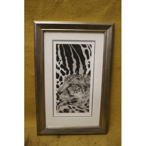 527 - Limited Edition Print of Spots & Stripes, King Cheetah - 125/245 by Stilking - 51 x 33cm