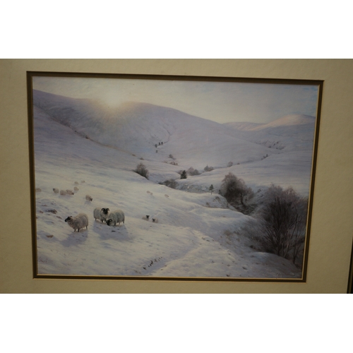 529 - Print - Sheep in Snow - The Sun Peeps O'er Yon Sothen Hill by Joseph Farquharson - 55 x 45cm