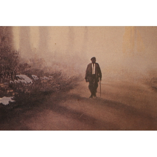 546 - Tree Lined Foggy Walk - 53 x 43cm