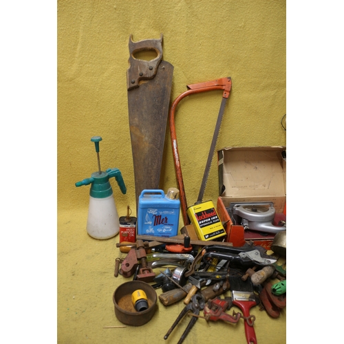 134 - Large Selection of Garden Tools and DIY Items