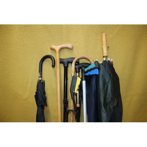 32 - Collection of Walking Sticks and Umbrellas