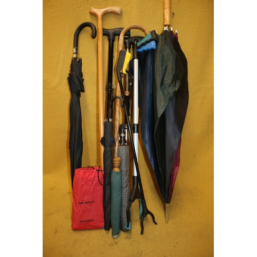 32 - Collection of Walking Sticks and Umbrellas