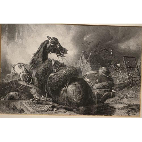 274 - War Horse Battle Scene Engraving - 43 x 35cm