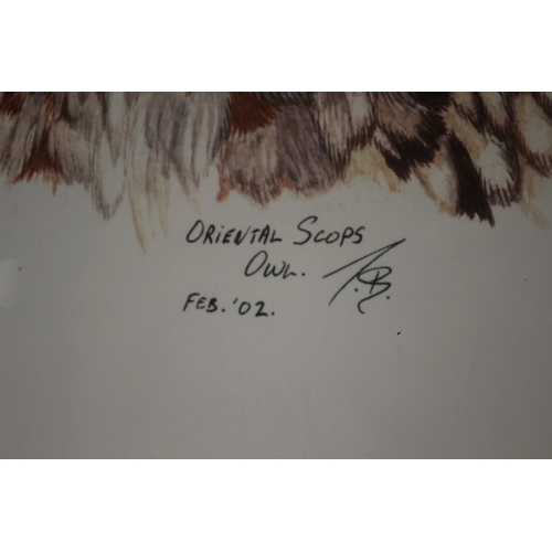 24 - Oriental Scops Owl Limited Edition 71100, Pencil Signed Picture