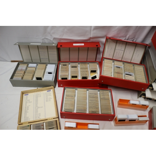 46 - Large Bundle of Slides