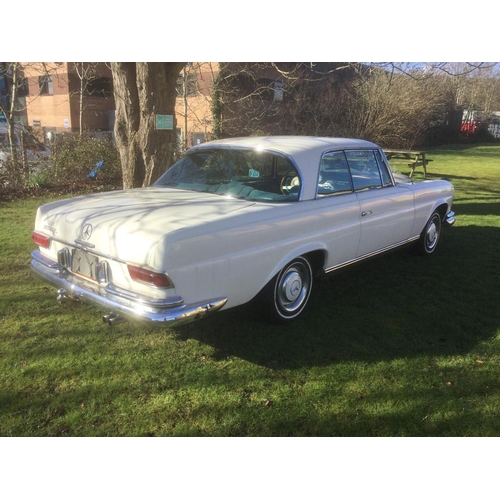 137 - 1966 Mercedes 250 SE Coupe