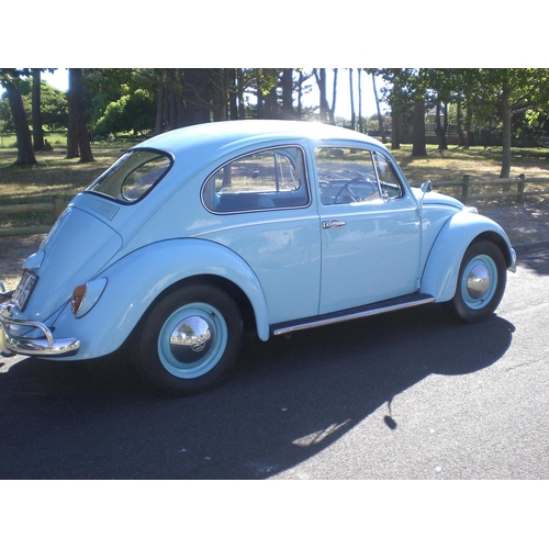 131 - 1964 Volkswagon Beetle