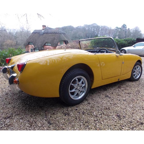 126 - 1958 Austin Healey Sprite Mk1
Registration No: 275 UYK