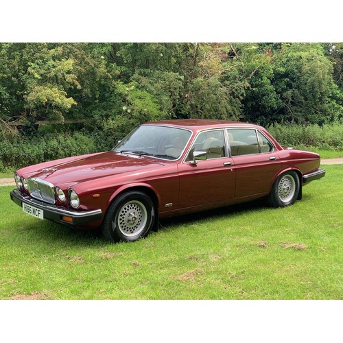 111 - 1991 JAGUAR SERIES 3 V12 SOVEREIGN
REGISTRATION NO: H186 MCF