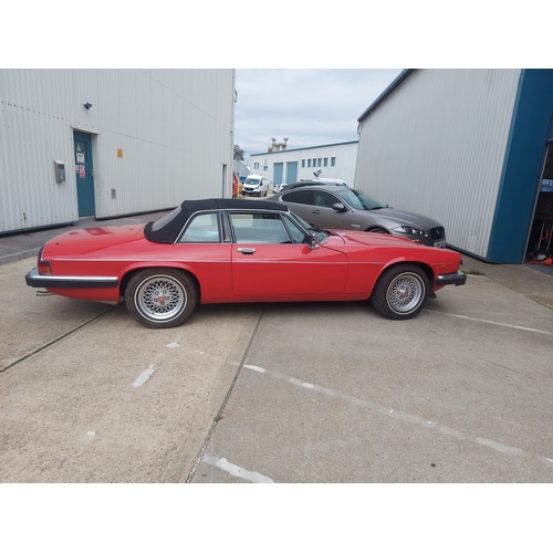 140 - 1985 JAGUAR XJS CABRIOLET V12
Registration No: D313JKR