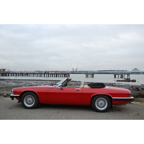 128 - 1989 JAGUAR XJS CONVERTIBLE AUTO
Registration No: F230OUD