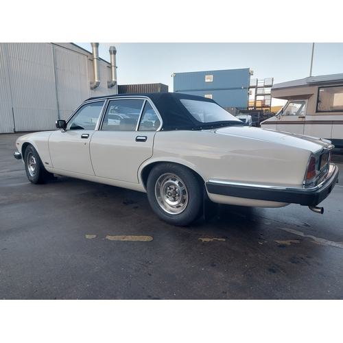 119 - 1985 JAGUAR XJ6 CONVERTIBLE MANUAL 
Registration No: XJI2589