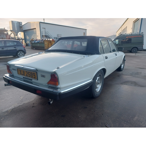 119 - 1985 JAGUAR XJ6 CONVERTIBLE MANUAL 
Registration No: XJI2589