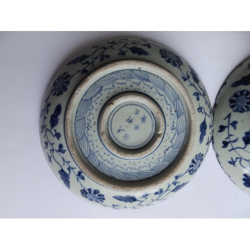 47 - Two Chinese blue & white porcelain dishes decorated with fish and birds in the antique style, approx... 