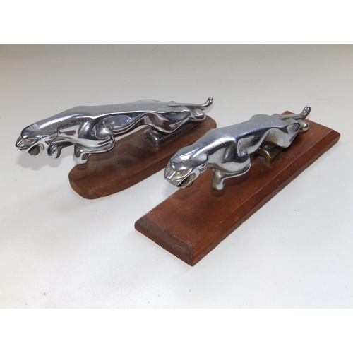 113 - Two Jaguar car mascots, 7.5