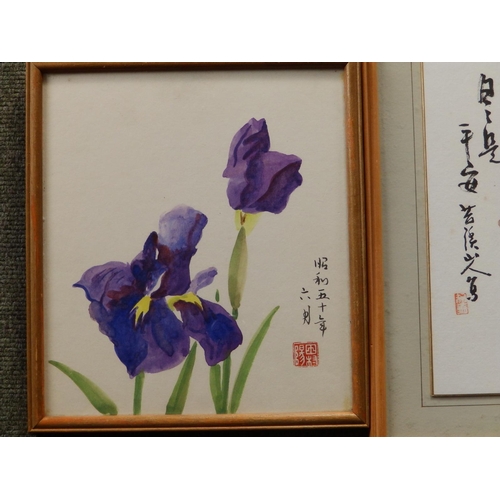 3 - Two Oriental calligraphic watercolour studies of flowering stems and a coloured study of irises, the... 