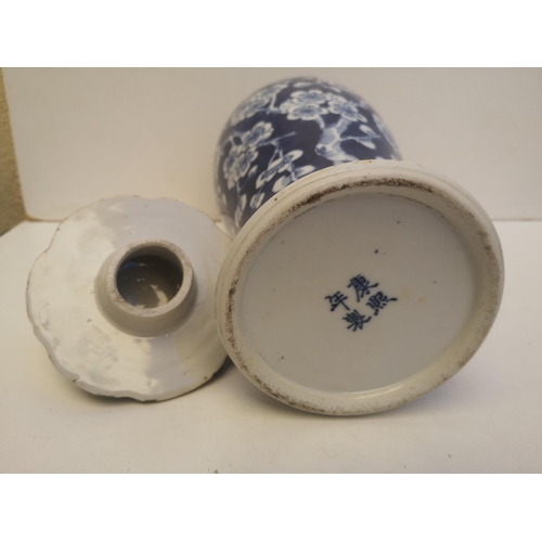 48 - A 19thC Chinese blue & white porcelain covered vase of slender meiping shape, painted with a prunus ... 