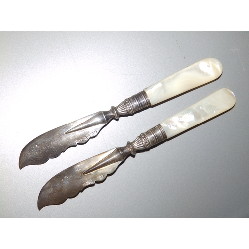 142 - A cased pair of mother-of-pearl handled silver butter knives. (2)