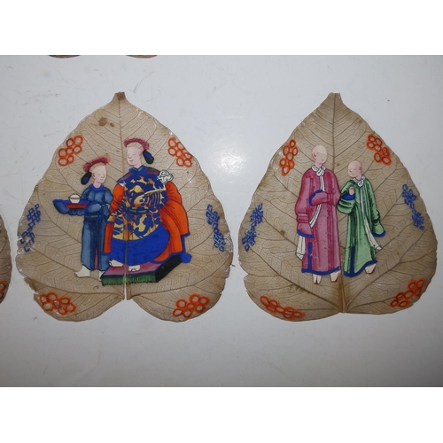 5 - 10 Chinese Qing Dynasty 'sacred fig' paintings on Peepal (Bodhi) leaves, each depicting either one o... 