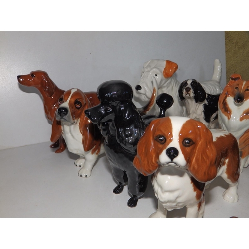 54 - Ten Beswick dogs.