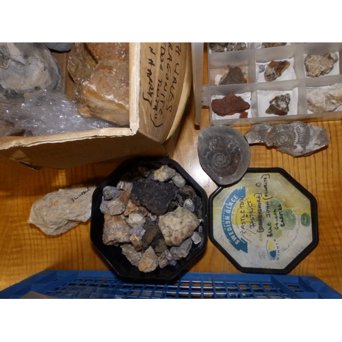 115 - A collection of British rocks and fossils, including snails, blue john, shark & rays' teeth, ammonit... 