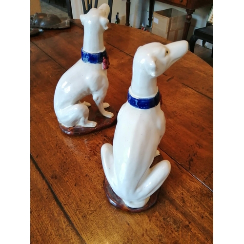 67 - A pair of seated white glazed dogs with blue collars, 14