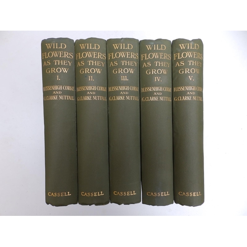 31 - H. Essenhigh Corke & G. Clarke Nuttall - 'Wild Flowers as They Grow', Cassell & Company, 1913 - 5 vo... 