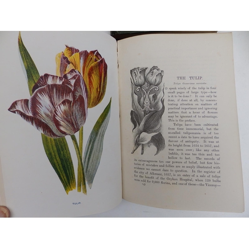 32 - F. Edward Hulme - 'Familiar Wild Flowers' -  col. Illus., ex library of Edward Ingram Watkin   - 8 v... 