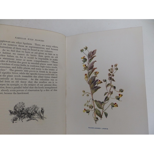 32 - F. Edward Hulme - 'Familiar Wild Flowers' -  col. Illus., ex library of Edward Ingram Watkin   - 8 v... 