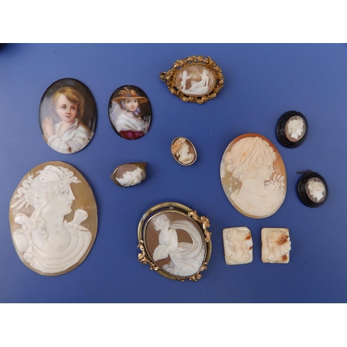 266 - A small collection of cameos and two porcelain plaques.