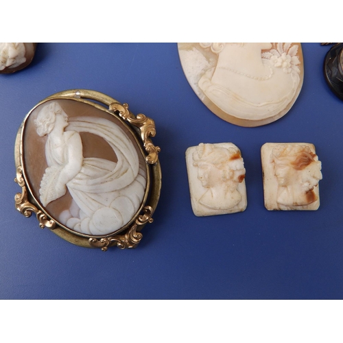 266 - A small collection of cameos and two porcelain plaques.