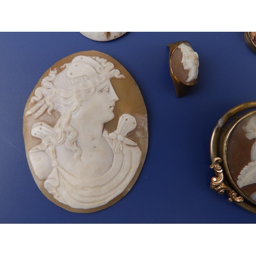 266 - A small collection of cameos and two porcelain plaques.