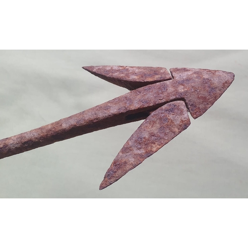 30 - An early iron whaling harpoon head, 20.5