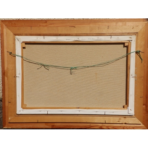 4 - David J. Lawrence - oil on canvas - 'Springer Spaniel, River Exe', signed & inscribed verso, 19.5