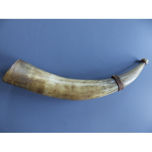 51 - A cow-horn with mouthpiece, 15.5