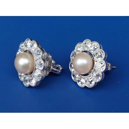 306 - A pair of pearl & old cut diamond cluster earrings in white 750, the settings 16mm overall diameter.