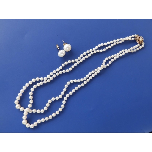 282 - A graduated pearl twin strand necklace with yellow metal clasp and a pair of button pearl earrings, ... 