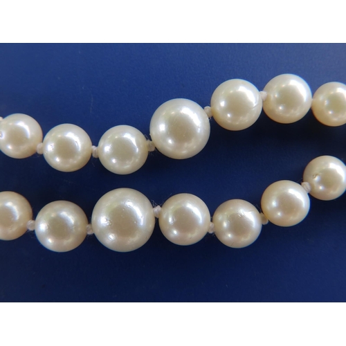 282 - A graduated pearl twin strand necklace with yellow metal clasp and a pair of button pearl earrings, ... 