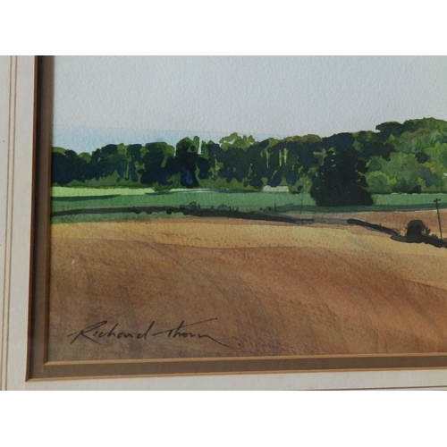 8 - Richard Thorn (born 1952) - watercolour - Coastal scene - a view over fields to the sea, signed, 13