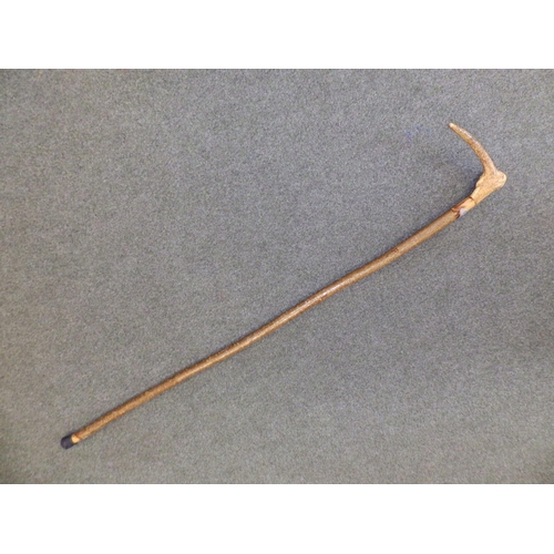 69 - An alpine walking stick with horn handle, 48