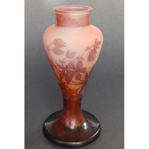 Lot 20        
