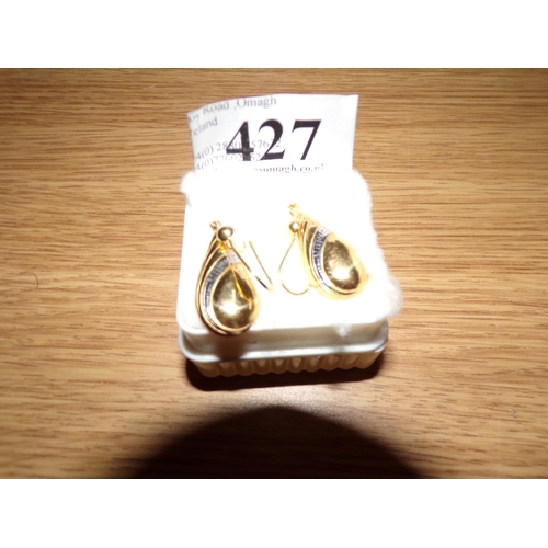 427 - PEAR EARRINGS (UNTESTED)