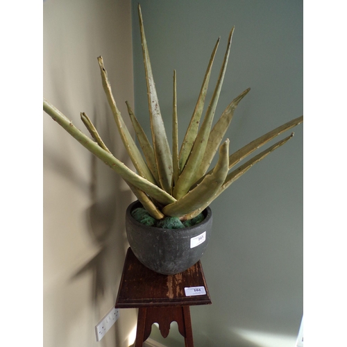 103 - POT & ALOE VERA