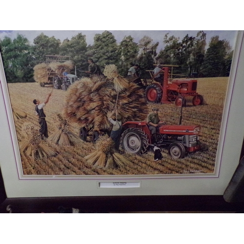 16 - MASSEY FERGUSON PICTURE