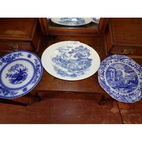 214 - 3 BLUE/WHITE PLATES (SPODE & OTHERS)